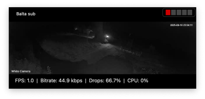 490246077-0d629731-30f4-4129-84b3-72693b78dcfa